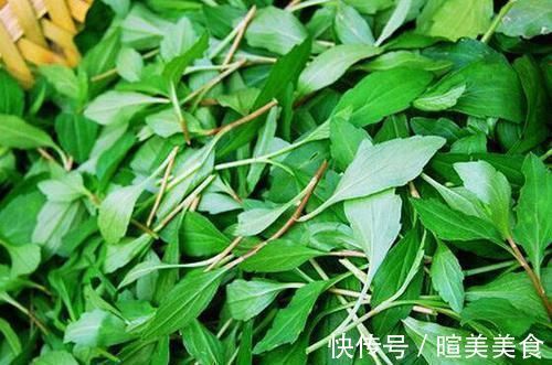 清明节|农村地头用来喂猪的野菜，却可以预防癌症，赶走大肚腩，早食早好