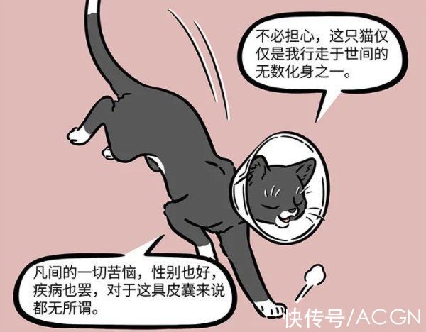 徐哼唧|非人哉：大士真的太善良了，化身成猫被绝育了，依然不忘普度世人