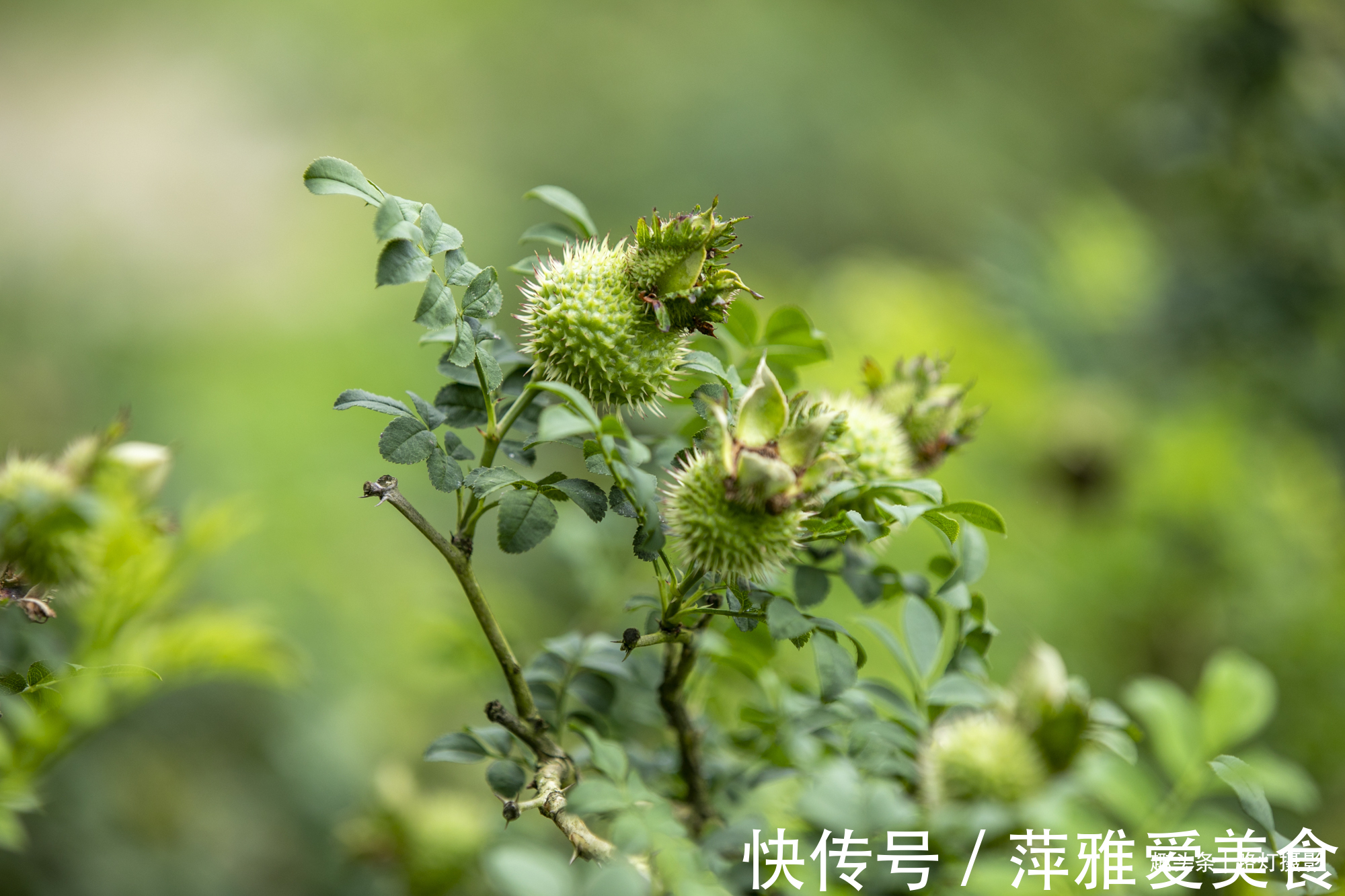 贵定县|贵州大山里的风情画廊，天然项链耀眼夺目，游客直呼：太漂亮了