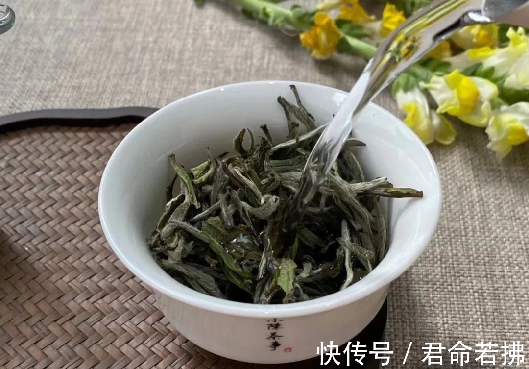 涨知识&新白茶为什么会有青味?这是好是坏,看完涨知识了