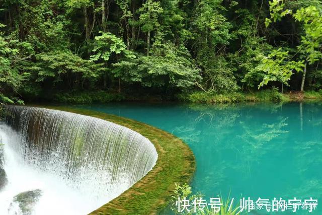 秋韵#【七绝·秋韵】清风伴我不孤行,晨起轩窗有鸟鸣