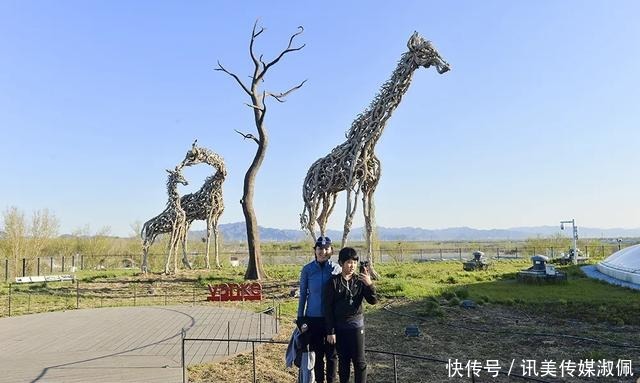 太苏胡！以这种方式春游，私享惬意唯美风光