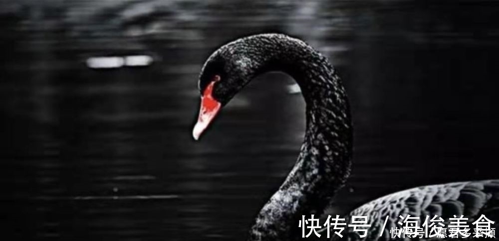 地产业|俞洪敏可能没有任正非名气大，但论远见俞洪敏还真不比任正非差！