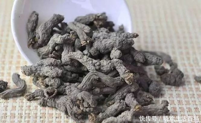 農村這種“千年老鼠屎”,一斤百元價值很高,如果看到請帶回家!