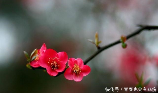 触动|这3个经典诗句,蕴含着最好的生活态度,哪一句触动了你