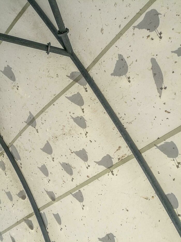 照片@一组令人称奇的真实照片,让人怀疑自己的眼睛