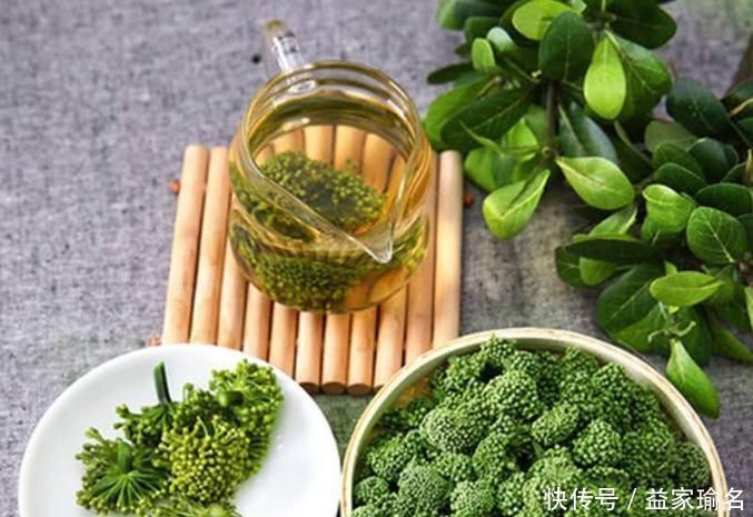 软化血管|高血脂遇到“死对头”, 每天吃一些, 血管通畅, 身体更健康