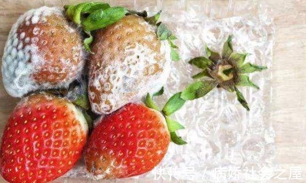 食用|吃菠菜对肝不好?医生:不想肝脏“报废”,3种食物有多远扔多远