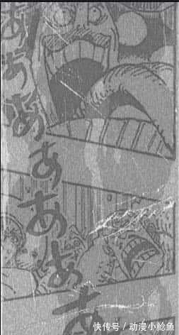 乔巴|海贼王981话:太喜感!大妈变回玲玲了?和乔巴干瞪眼