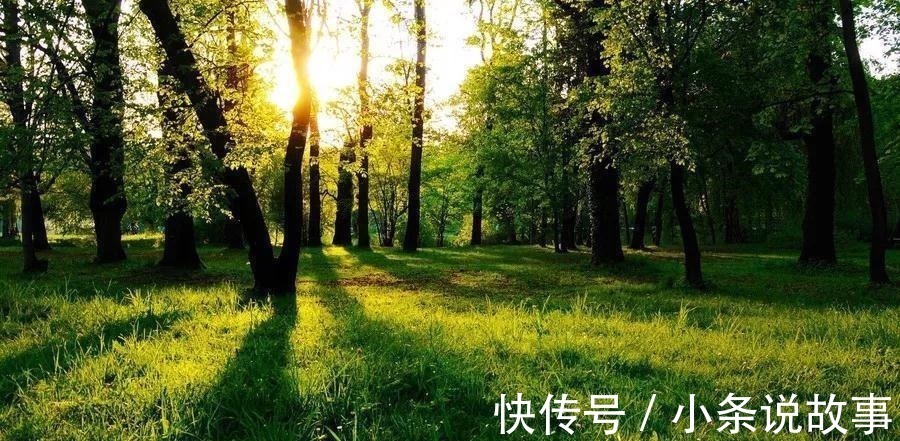 粉红色|旺自己,旺夫,旺婆家的4大生肖女,越老越有魅力,天生凤凰命