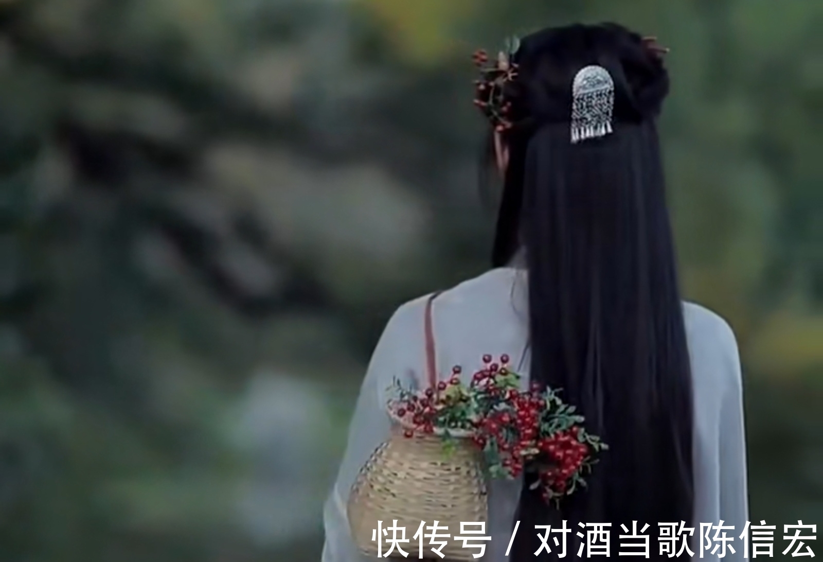 春思$范成大写在惊蛰的《秦楼月》:远景是春色如许,近景是春思绵密