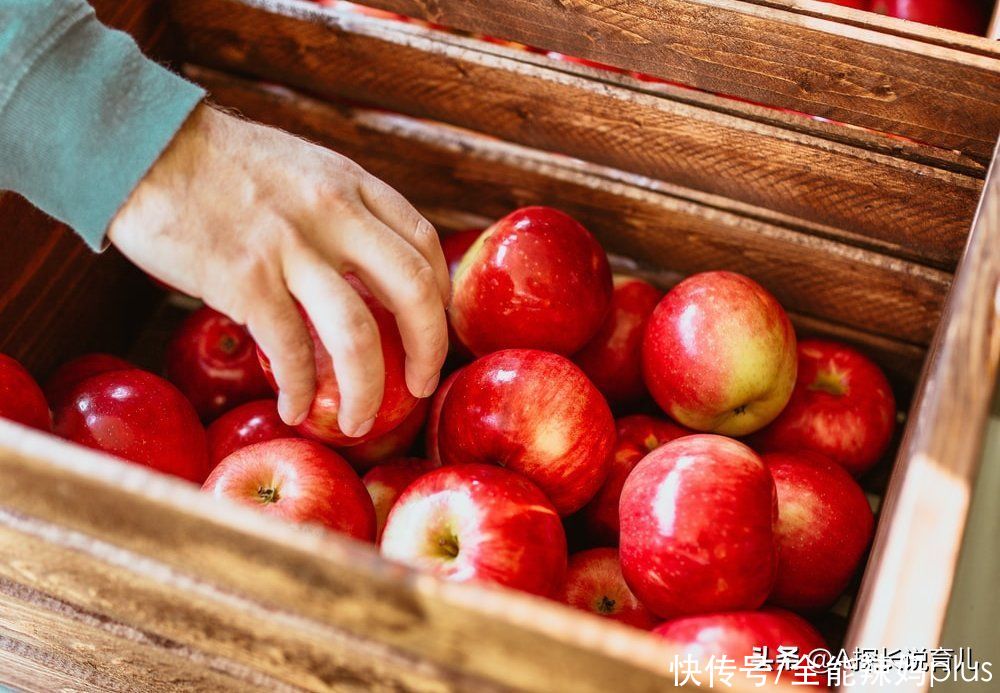 苦口婆心|这3种水果被称为身高“加油站”，医生的苦口婆心，家长要听进去