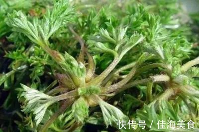 女性|女性总是皱纹太多多吃此菜，补充气血，缓解痛经，远离妇科炎症