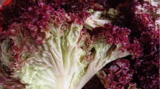 鸡蛋黄|懒人福利——自制蛋黄酱,赋予味蕾极致享受,一饱口福