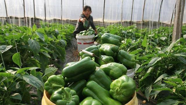 食物|高血压者，四类食物，忍住就是赢！三个危险时刻，切莫放任不管