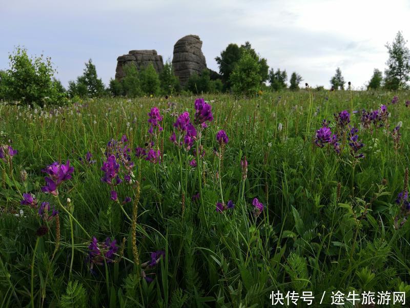 美丽的锡林郭勒大草原，最纯正的蒙元文化，最原始的游牧牧场