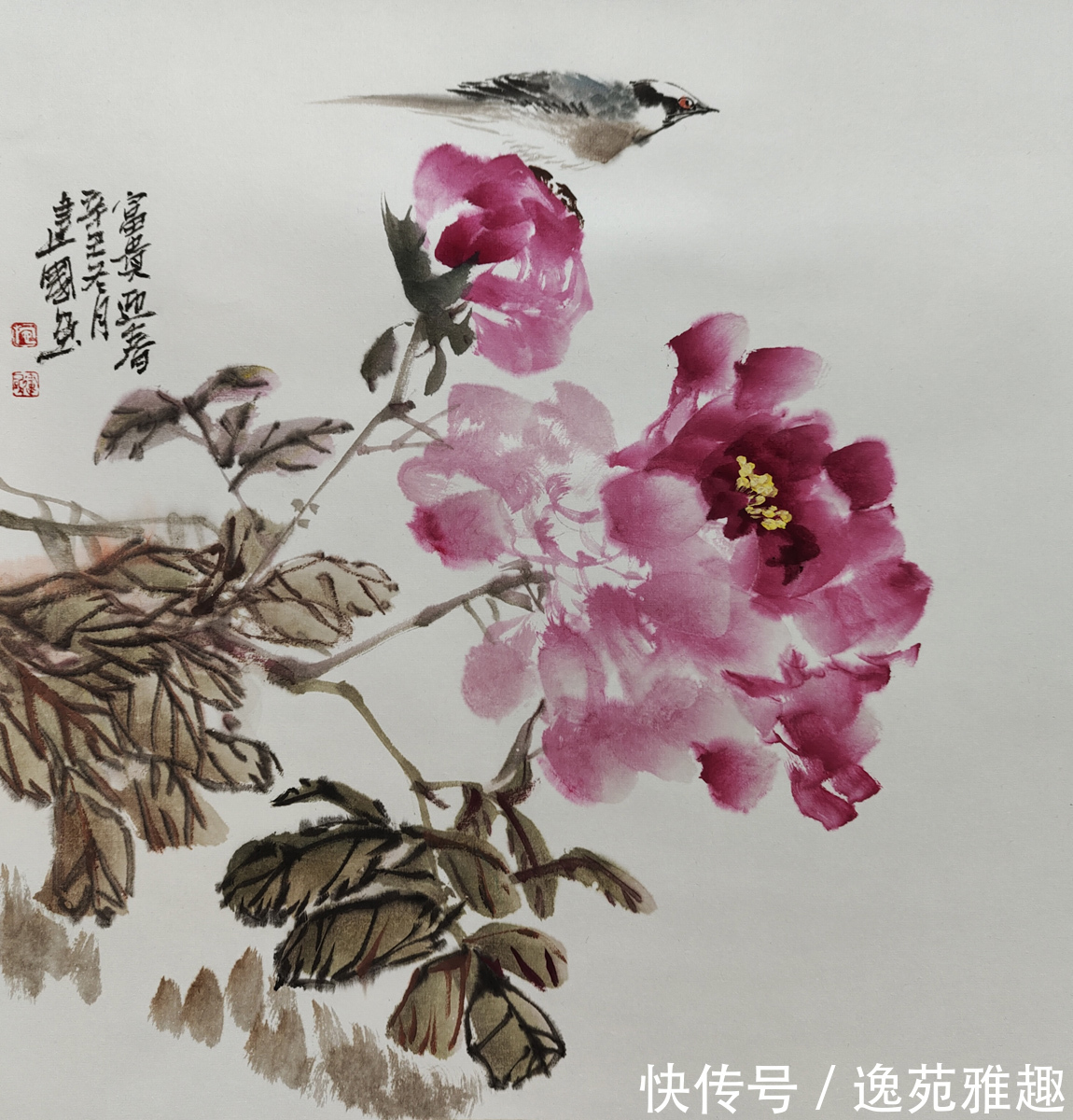 画家@【作品欣赏】春华秋实,心随花开,画家施建国作品欣赏