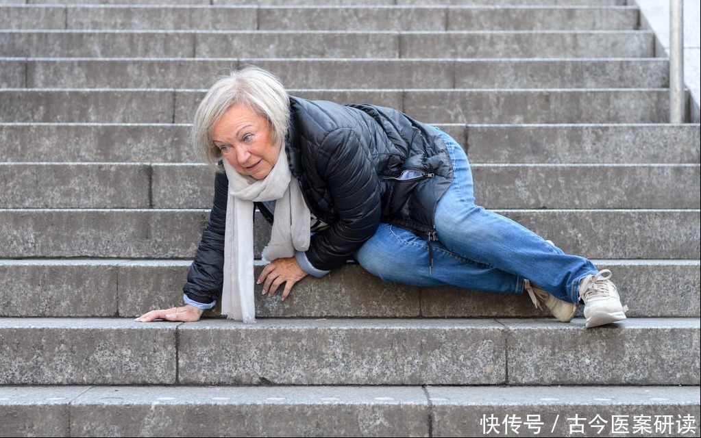 舒筋活络|老鹤草,老白鹤守护的“仙草”,全国各地都有长,常用于通经络