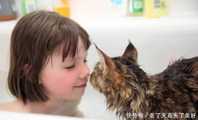 画家|7岁自闭症小女孩,天生就是画家,画作已卖到几百万英镑