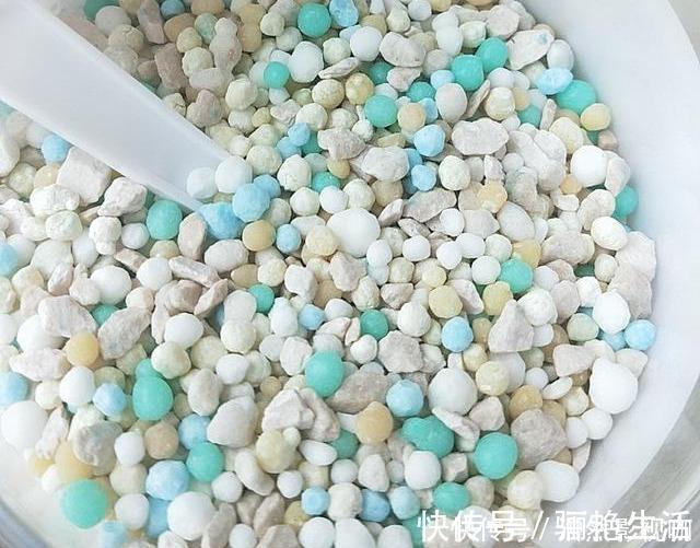 鱼鳞|花肥其实自己就能做,省钱又好用,养花效果棒