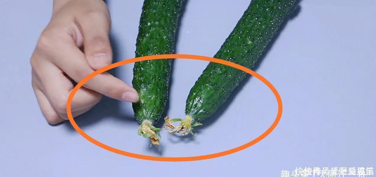 激素黄瓜|黄瓜打不打激素？看一眼这个“小机关”就知道，包你买不到催熟