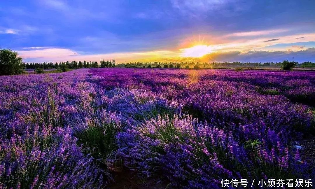 一首《可可托海的牧羊人》唱响春晚，让伊犁惊艳了全世界！