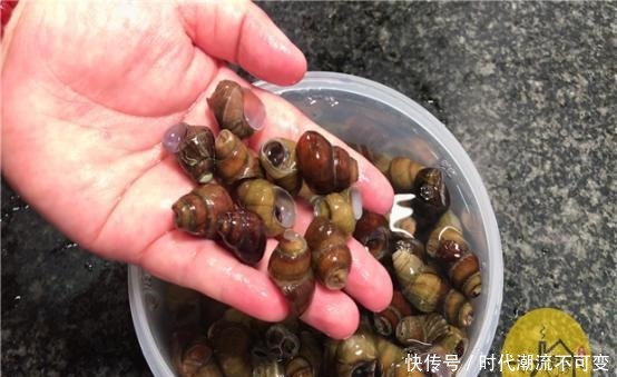 才发现,菜刀上圆孔有个厉害用法,现在知道还不晚,太多人收藏了