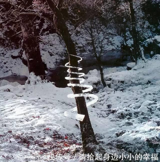 艺术家|他用最简单的树叶、石头、羽毛,建了一座美到极致的自然美术馆