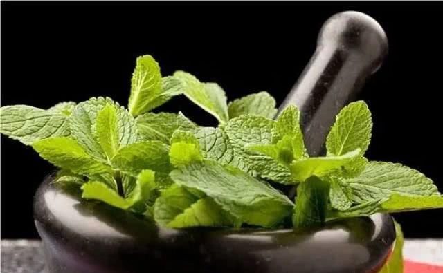 建议|12种常见香料在卤水卤肉中的用量,香料放对美味加倍,建议收藏!