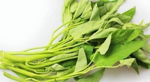 常吃|“尿酸”过高别着急,常吃4物,排出尿酸,或许痛风悄悄和你说“拜拜”