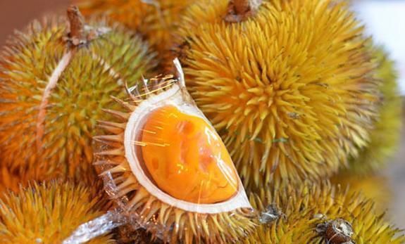 无花果|女人大姨妈前3天,多吃此些水果,通气血、排宿便,体重也慢慢降