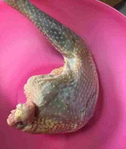 鸡身上最脏的部位，里面含有大量金属，白给都不要，一般人不知道