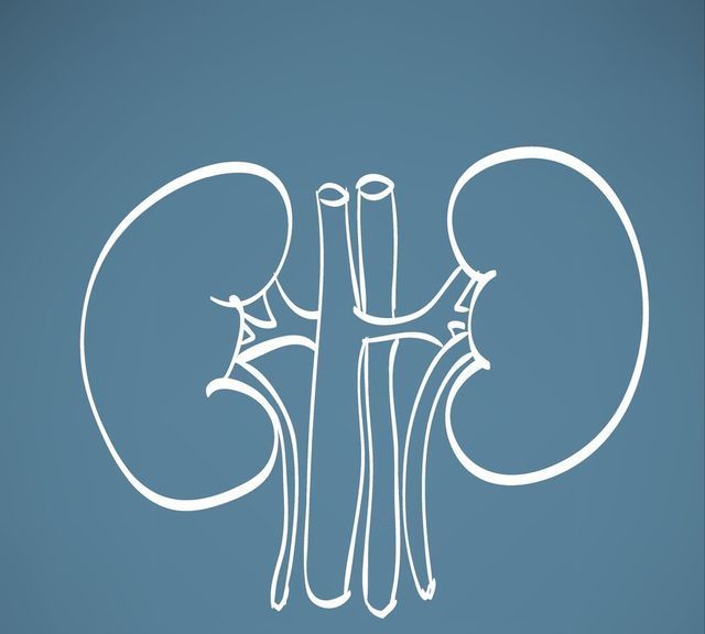 糖尿病肾病|新药非奈利酮获批上市!糖尿病肾病有了新选择,不仅保肾还能护心