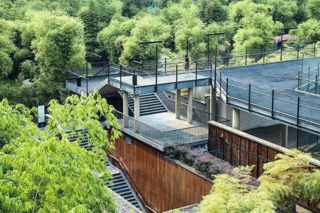  文化|害！青羊能打的，也就这些了！