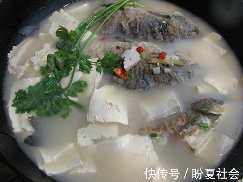 鲫鱼|鲫鱼炖豆腐的最简单做法，汤汁浓郁奶白，鱼肉鲜嫩不粘锅，吃不够