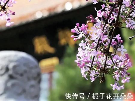 儒释道&她的学佛之路并没走对,却乐此不疲。你呢?