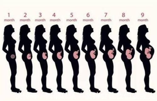 孕妇|孕妈一般在什么时候开始“显怀”？若显怀过早，可能是这几个原因