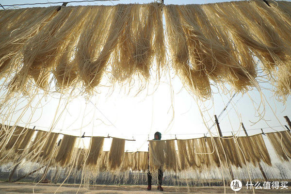 冬天买粉条，如何辨别是否添加明胶？掌握这3个小技巧，轻松辨别