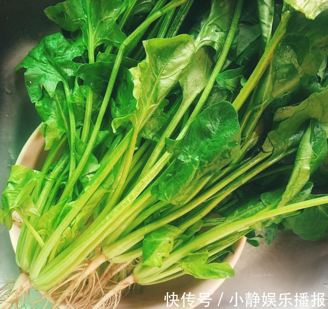 包菜|4种富含“天然叶酸”的营养蔬菜,很多人不了解,常吃身体好