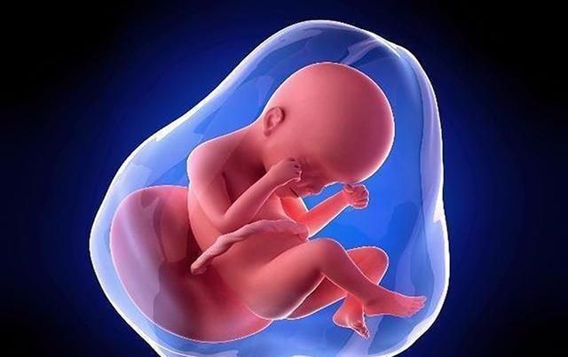 反应|怀孕后,从身体的这四个反应中,看羊水的质量好坏,孕妈要会辨别