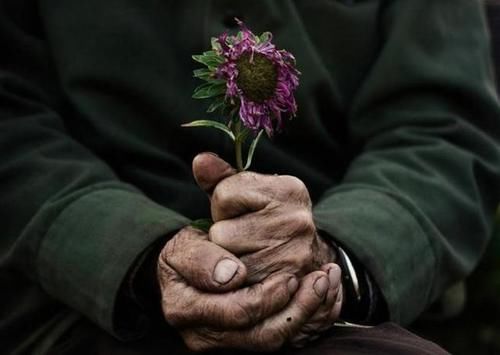 医生|“两处一垂，阳气将灭”指的什么？听医生怎么说