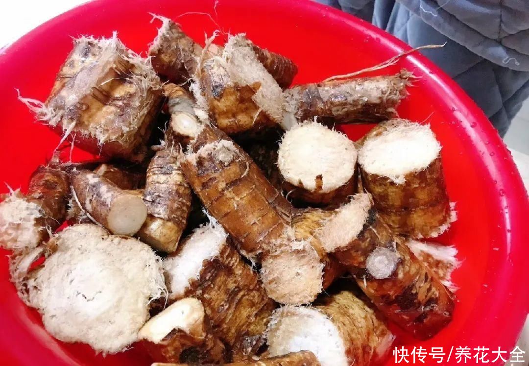 农村8种草，是“下火”药草，现在越挖越少