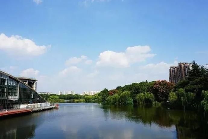  艺术|是自然的声籁，也是艺术的回响，它们在青浦悄悄发着光！