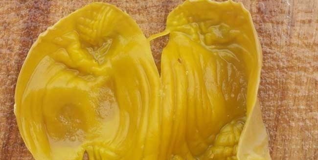 消化|连石头都能消化的鸡内金,人吃了之后,会发生什么结果