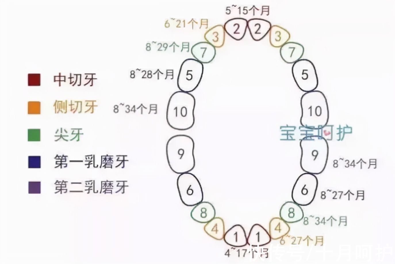 妈妈们|这5个信号说明宝宝发育迟缓，父母警惕，错过最佳治疗时间就晚了