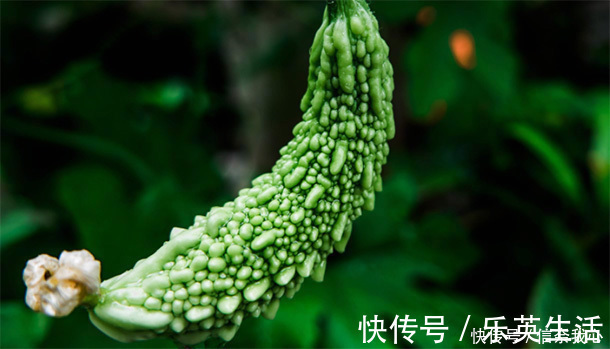 紫菜多糖|糖尿病“福音”,别嫌它丑,是“天然胰岛素”,常吃血糖稳易长寿