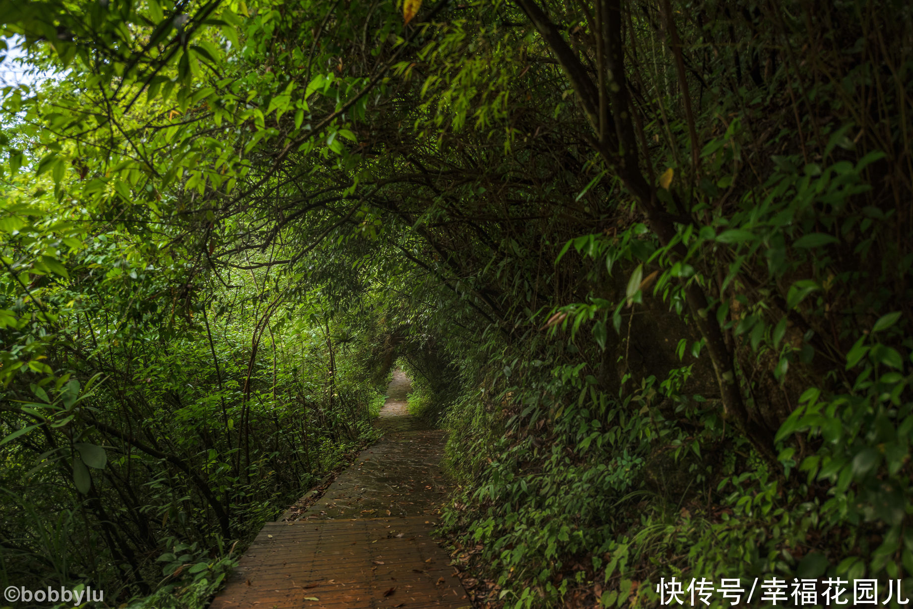 栈道|旅游的“坑”避之不及，但黔南有个坑非但不避，游客还蜂拥而至