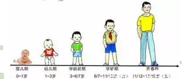 生长激素|11岁女孩吃了4000多的增高药后停止发育,医生:孩子长个已无望