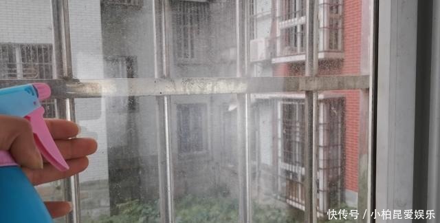 白醋和洗衣液混合真厉害，解决了家家户户的难题，回家试试