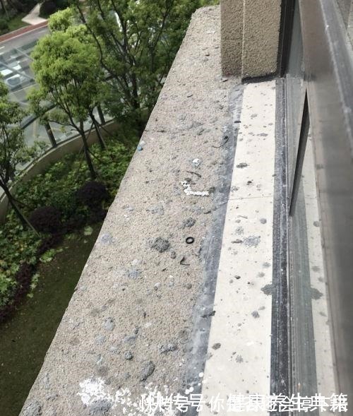 养花|高层腰线拿来养花邻居理直气壮出了公摊，我家的为啥不能用！